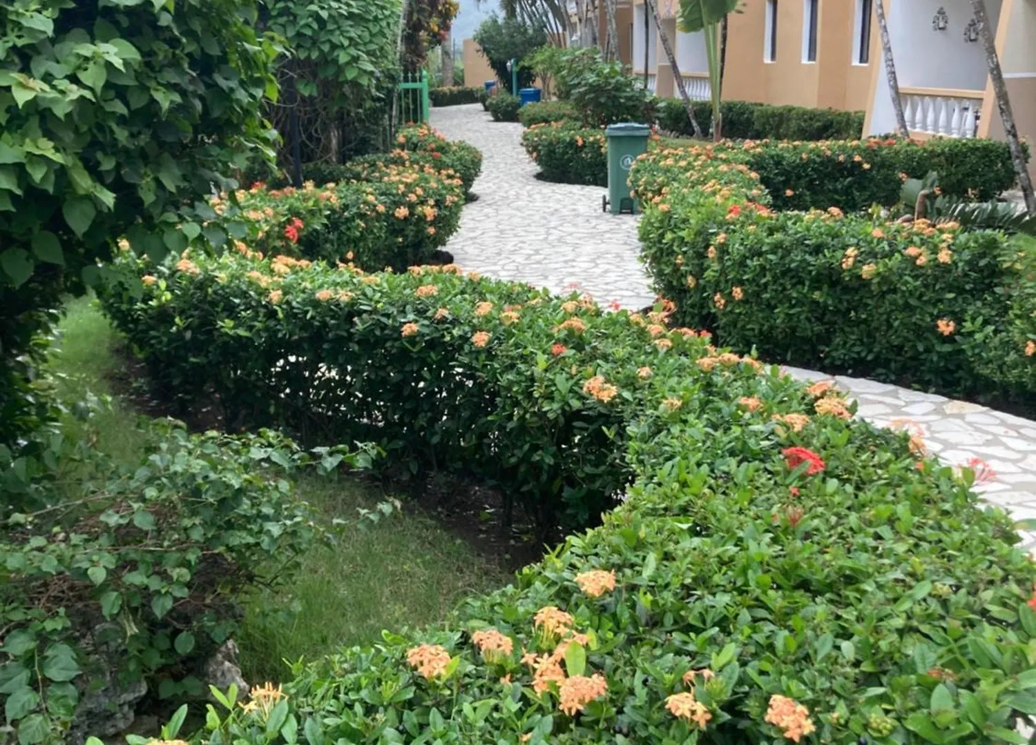 Cita Del Sol City Apartments Cabarete